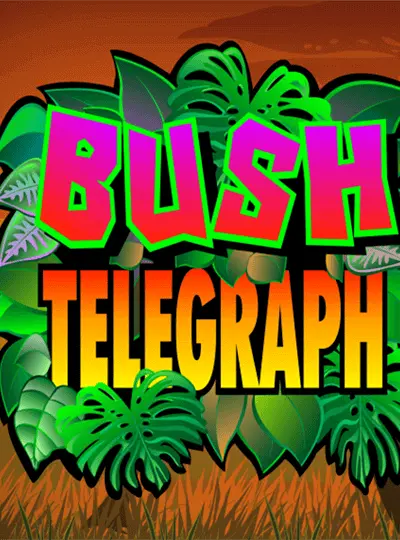 বুশ টেলিগ্রাফ